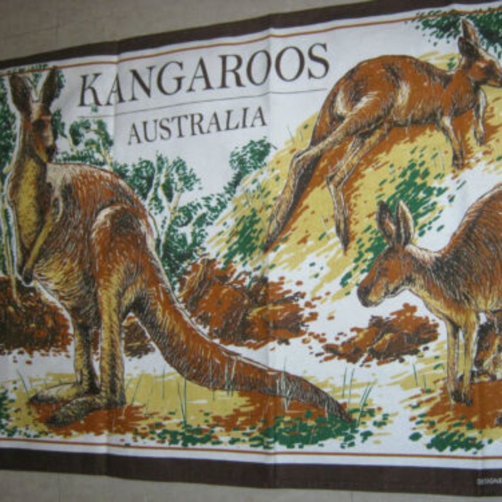 Kangaroos Australia Cotton Tea Towel Creative Products